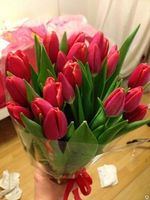 Как сохранить подаренные тюльпаны. Букет 25 красных тюльпанов. Букет тюльпанов в вазе. Луковица тюльпана. Тюльпаны 51 шт.