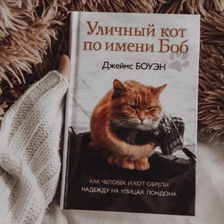 Читать боб. Боуэн уличный кот по имени боб. Кот по имени боб читать. Кот по имени боб книга. Читать боб.