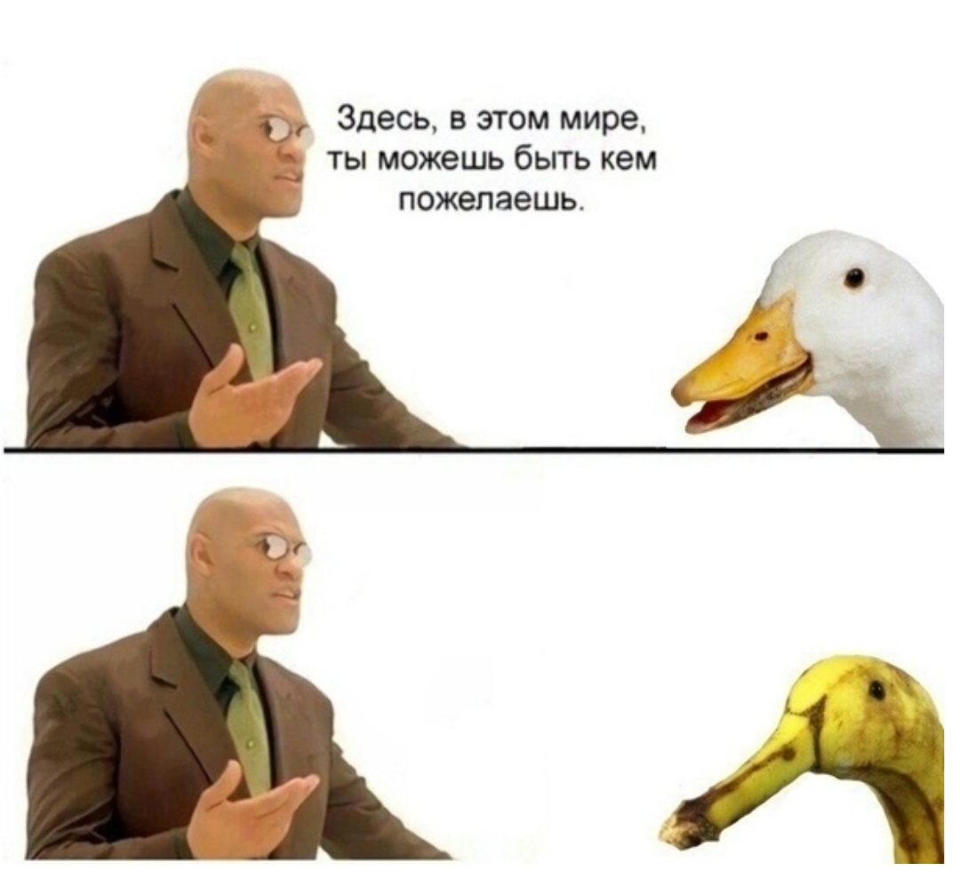 n53xnK4Wx8o.jpg