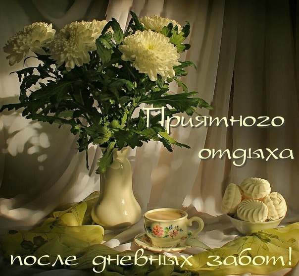 Доброе утро хризантемы
