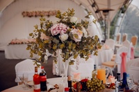 Свадебный танец молодоженов. Эдем парк ситне щелканово. Банкетный зал эдем ситне щелканово. Кафе эдем ситне щелканово. Лысов ситне щелканово.