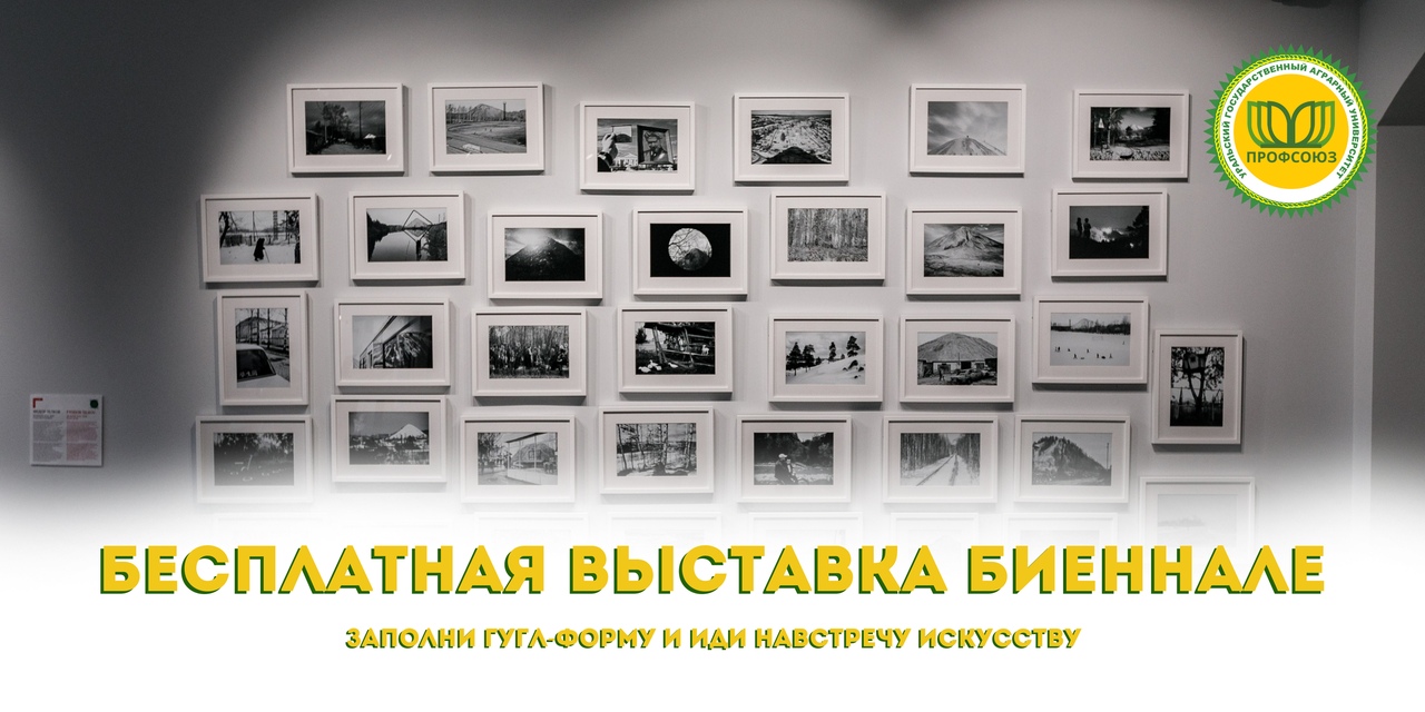 Магазин Биеннале В Калининграде Каталог Товаров