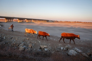 кокаральская плотина аральское море. погода малый арал. деревня в аральском море. аральское море 2022. малое аральское море.