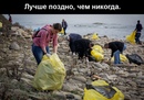 Свалка бактерии. Other waste. General waste. Пластик в океане. General waste.