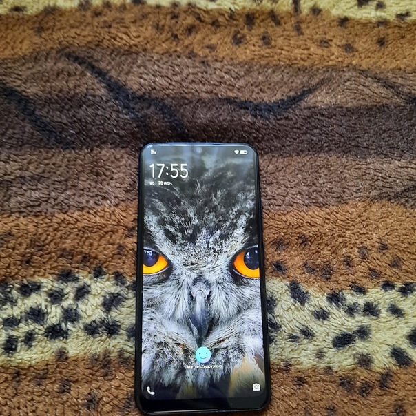 Vivo Y17